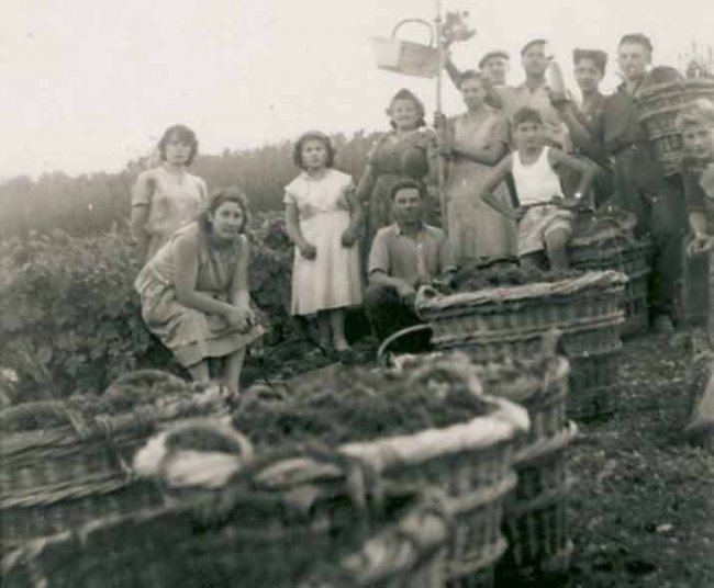 CHAMPAGNE FLEURY GILLE - Photo de famille en 1954